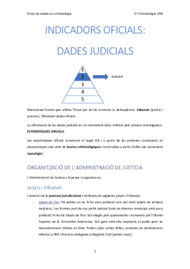 Indicadors oficials (II). Dades judicials.pdf