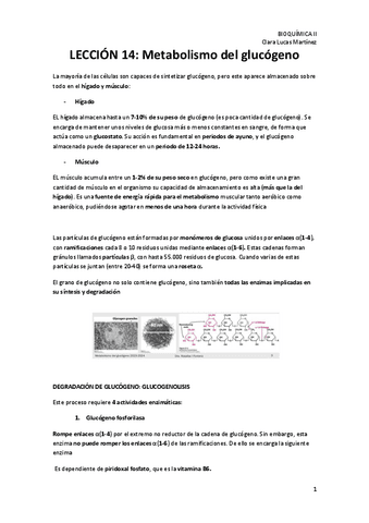 LECCION-14.-Metabolismo-del-glucogeno.pdf