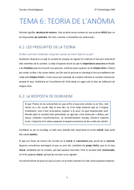 6. Teoria de l'anomia.pdf