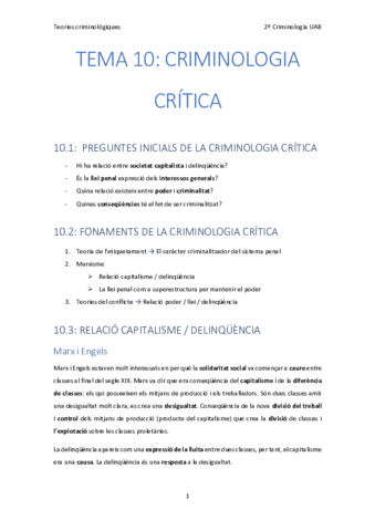 10. Criminologia critica.pdf