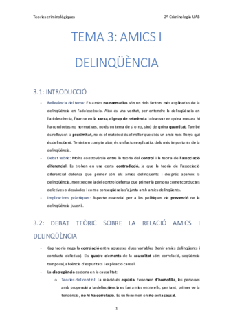 3. Amics i delinquencia.pdf