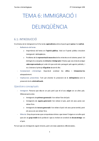 6. Immigracio i delinquencia.pdf
