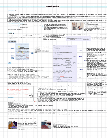 dormir-y-sonar-fisio.pdf