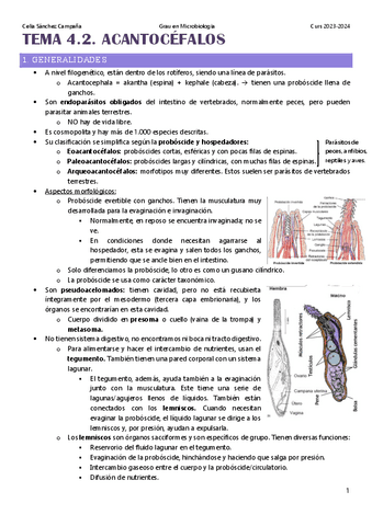Tema-4.2.-Acantocefalos.pdf