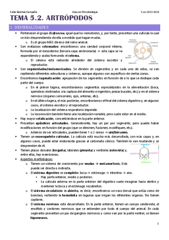 Tema-5.2.-Artropodos.pdf