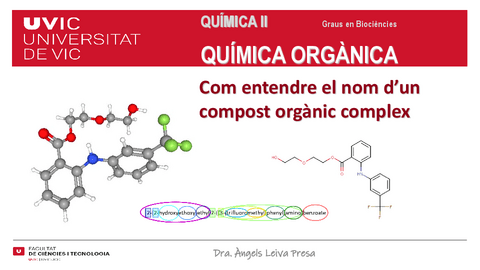 ExempleCom-entendre-la-molecula.pdf