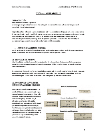 TEMA-3-APRENDIZAJE.pdf