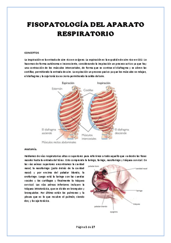 Apuntes.-Alteraciones-respiratorias.pdf