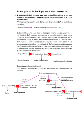 Primer-parcial.pdf