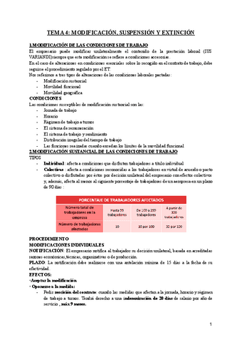 TEMA-4-MODIFICACION-SUSPENSION-Y-EXTINCION.pdf