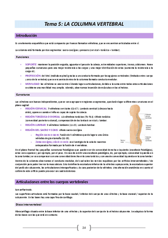 Anatomia-humana-y-embriologia-23-24.-Tema-5.pdf