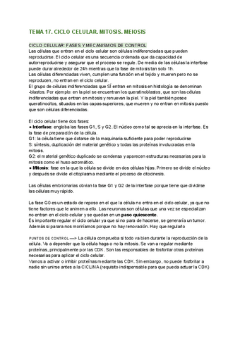 TEMA-17.-CICLO-CELULAR.pdf