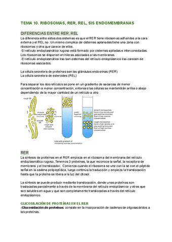 TEMA-10.-RIBOSOMAS-RER-REL.pdf