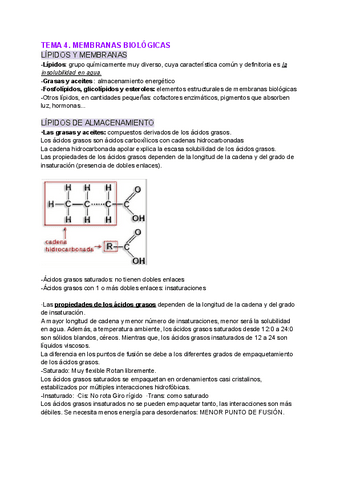 TEMA-4.MEMBRANAS-BIOLOGICAS.pdf