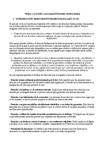 TEMA-3-ACCION-LAS-GARANTIAS-DEL-JUSTICIABLE.pdf