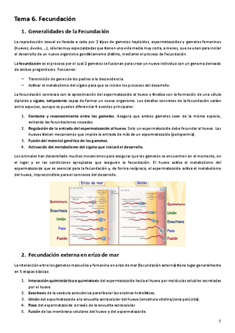 Tema-6.-Fecundacion.pdf
