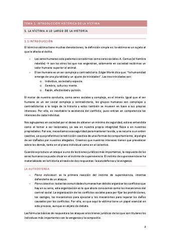 APUNTES-VICTIMA-Y-DERECHO-PENAL.pdf