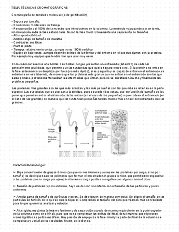 Tecnicas-Cromatograficas.pdf