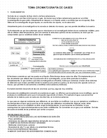 Tema-Cromatografia-De-Gases.pdf