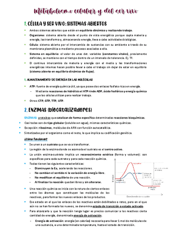 APUNTES-BIOLOGAA-TEMA-11.pdf