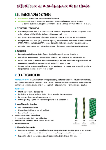 APUNTES-BIOLOGA-A-TEMA-10.pdf