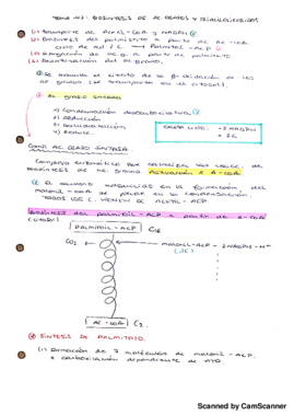 T11.1.Biosintesis de aagg-20180912163311.pdf