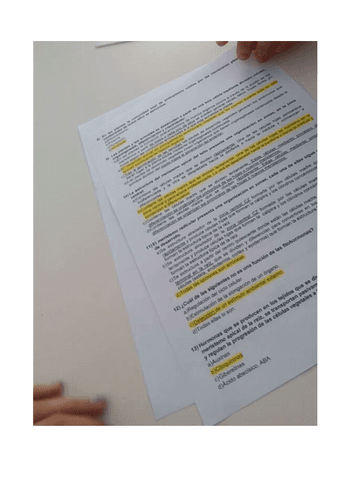 Examen Fisio Vegetal.pdf