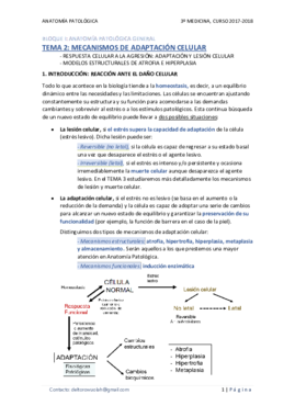 TEMA 02 - MECANISMOS DE ADAPTACIÓN CELULAR.pdf