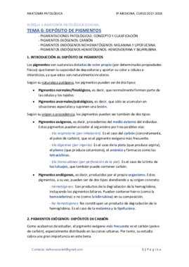 TEMA 06 - DEPÓSITO DE PIGMENTOS.pdf