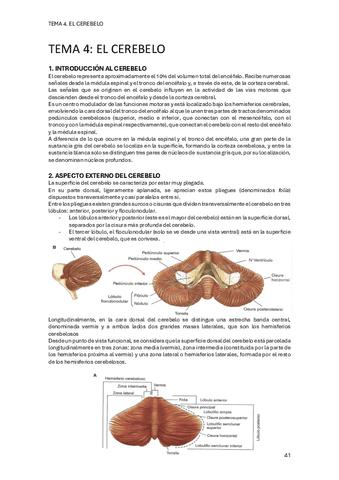 PSICOBIOLOGIA-II-TEMA-4.pdf