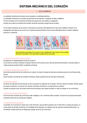 Sistema-mecanico-del-corazon-10.pdf