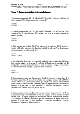 GF1Tema11segonprincipi.pdf