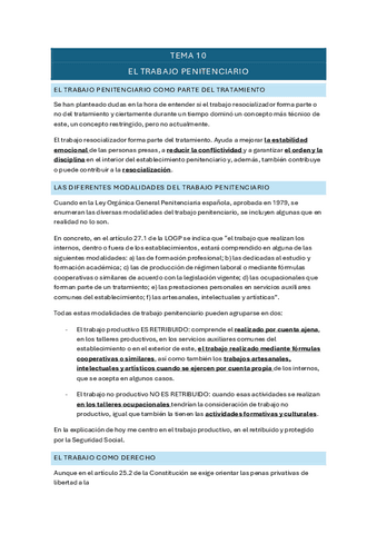 T10-dcho-penitenciario.pdf