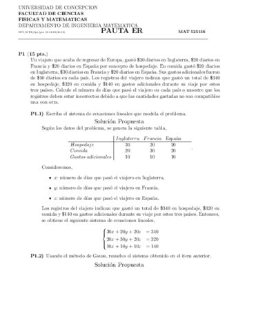 Pauta-Ev Recuperativa_A2.pdf