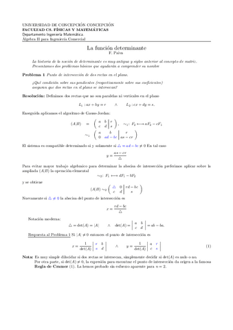 PDFFuncion-DeterminanteA2.pdf