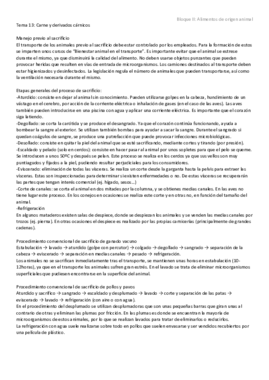 Tema 13.pdf