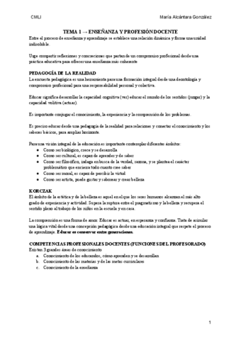 Didactica-tema-1-ensenanza-y-profesion-docente.pdf