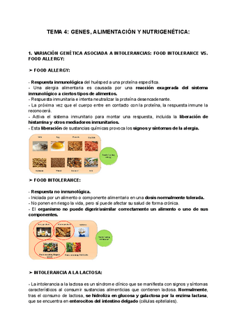 TEMA-4-GENES-ALIMENTACION-Y-NUTRIGENETICA.pdf