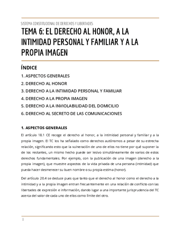 T.6-SISTEMA-CONSTITUCIONAL-DE-DERECHOS-Y-LIBERTADES.pdf