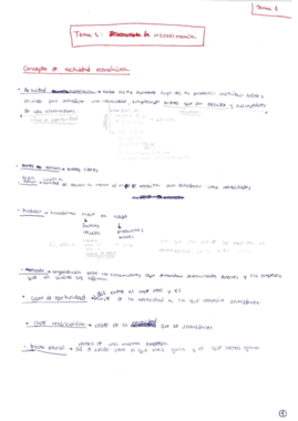 APUNTES - Tema 1.pdf