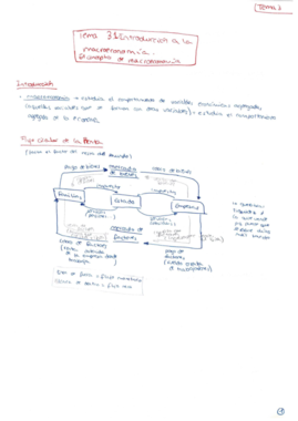APUNTES - Tema 3.pdf