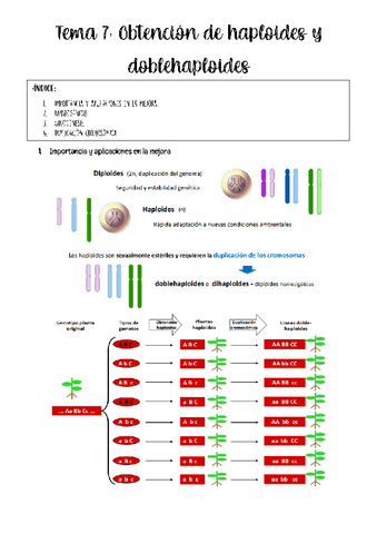 Tema-7-biotecc-vegetal.pdf