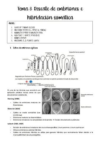 tema-8-biotec-vegetal.pdf