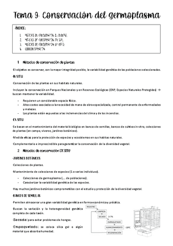 tema-9-biotec-vegetal.pdf