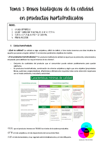 tema-3-productos.pdf