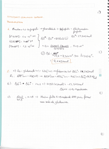 BIOENERGETICA.pdf