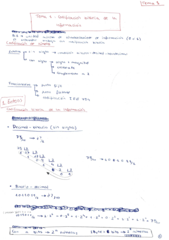 APUNTES - Tema 1.pdf
