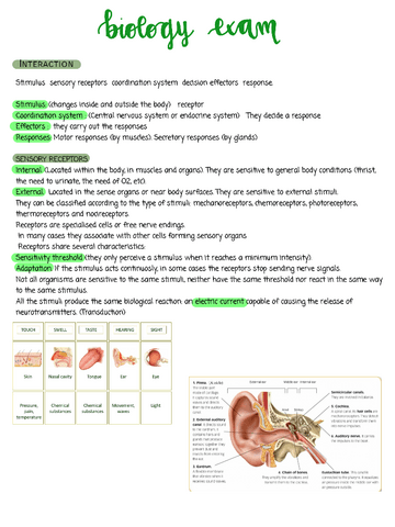 apuntesrecuperacion2trimestrebiology.pdf