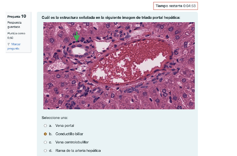 EXAMEN-HISTOLOGIA-DIGESTIVO.pdf