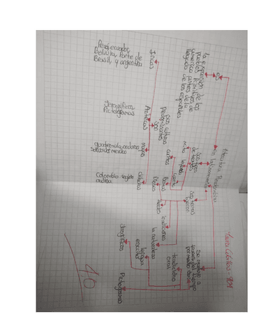 literatura-precolombiana-latinoamerica.pdf